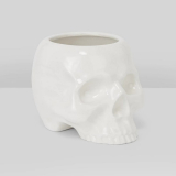 【即納】KILLSTAR / CRANIUM PLANTER プランター（KSRA009316）